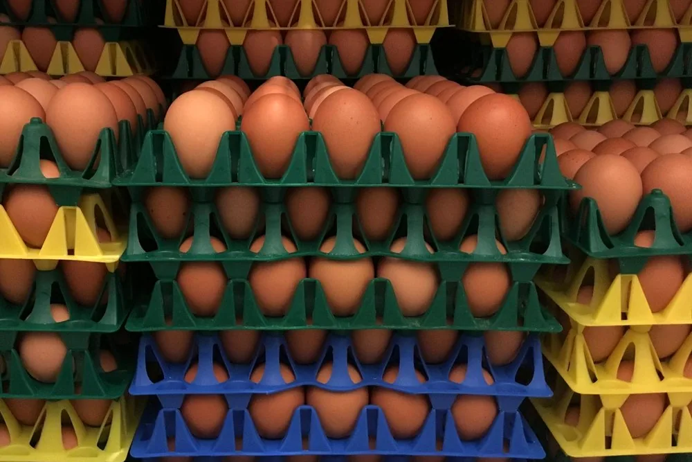 Stacked flats of brown eggs from Berrybrook Organics